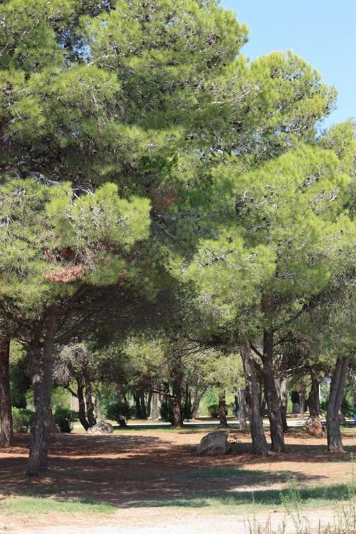Vila Casa Mireia I Paula Riumar Exteriér fotografie